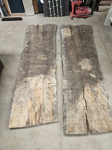 Beech timber english - beech,