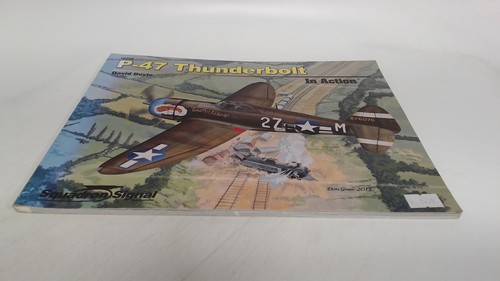 47 thunderbolt in action - in,