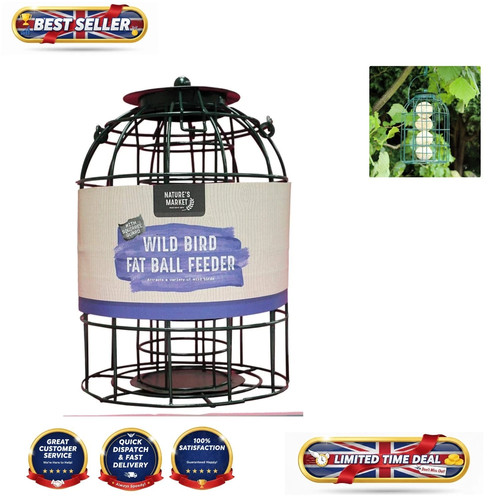 Squirrel proof hanging - squirrel,