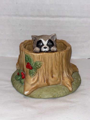 Raccoon woodland surprises - "raccoon",