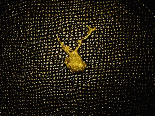 Luxury unisex brass - , brooch