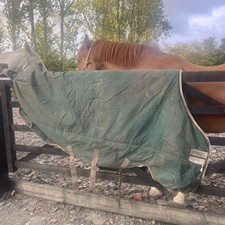 Rambo Rug 6'9 Green Medium 3 tummy Straps