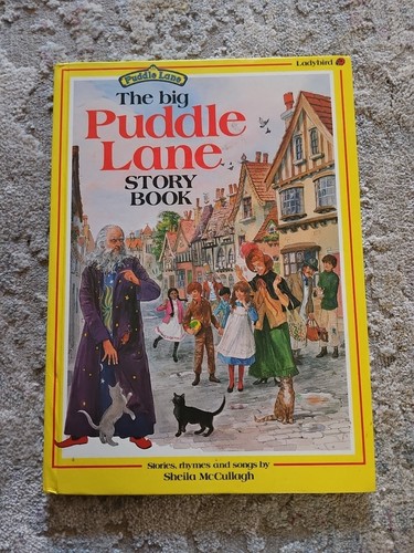 The big puddle lane story - big,