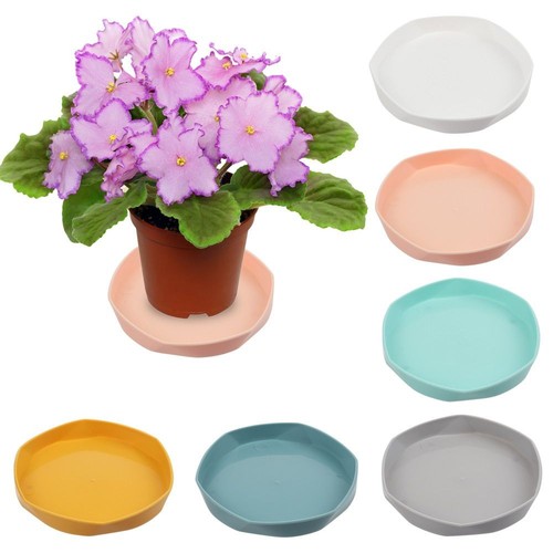 Plant pot saucers round black - plant,