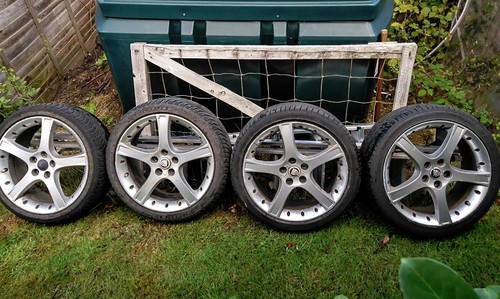 Jaguar type proteus - jaguar, 18"