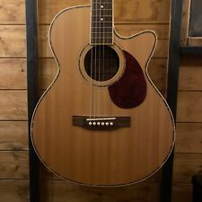 Freshman FA1AM Electro Acoustic Guitar