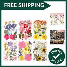 72 Pcs Dried Pressed Flowers