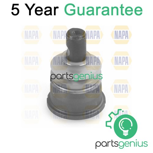 Genius front lower ball - front, joint