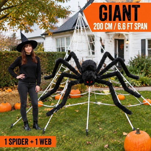 Giant halloween spider outdoor - spider,