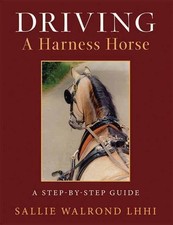 Driving a Harness Horse