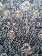 Remnant HERA SPOT A  peacock