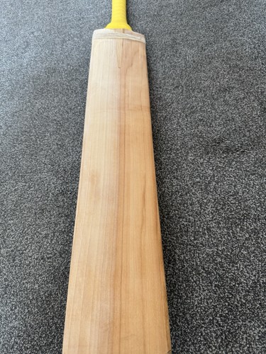 Keeley grade cricket bat - sh,