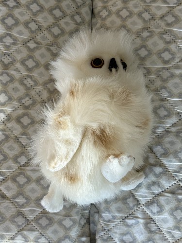 Baby owl plush - baby, wildlife