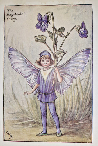 The dog violet fairy - dog,