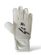 Donnarumma Signed Glove