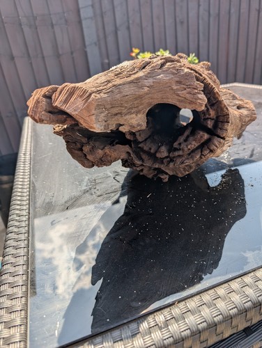 Aquarium bogwood cave - aquarium,