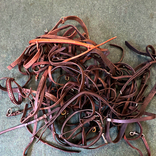 Job lot pony - pony, bridles