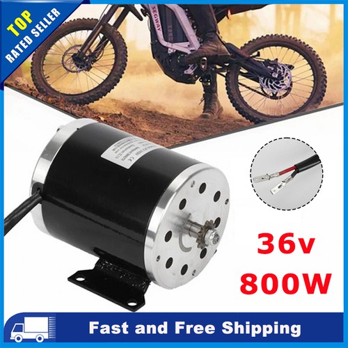 Electric scooter motor 800w - electric,
