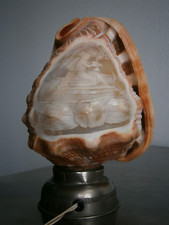 Lamp Engraved Shell St Cameo