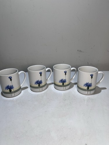Studio nova blue - studio,