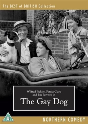 The gay dog dvd - gay,