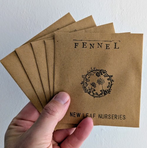 Fennel seeds packs 200 - in, of