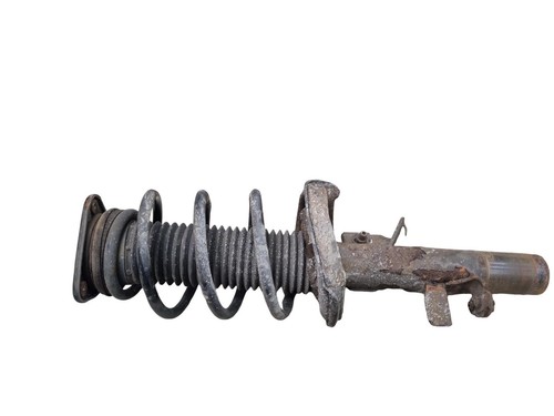 Ford focus strut shock - ford,