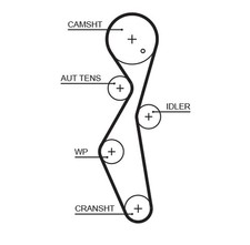 5672XS GATES Timing Belt for CITROËN,DS,FIAT,FORD,FORD USA,OPEL,PEUGEOT,TOYOTA,V