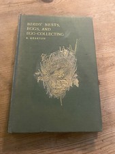 Birds' Nests, Eggs, And