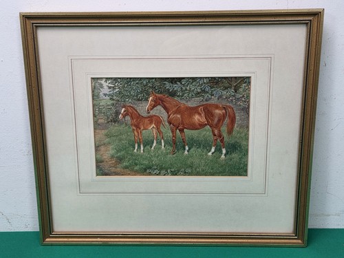 Framed horse pony - horse, nr