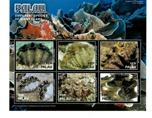 Palau 2016 different - palau,