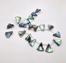 Abalone 20x18mm fan shaped - 20x18mm,