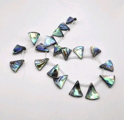 Abalone 20x18mm fan - abalone,