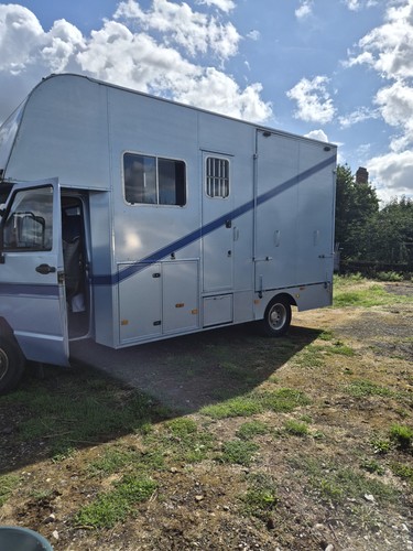 Iveco horsebox truck - iveco,