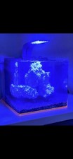 Eshopps Nano Marine Fish Tank