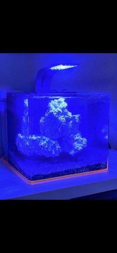 Eshopps nano marine - eshopps, fish