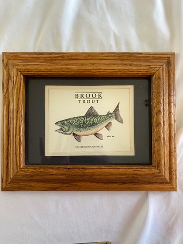 Framed art fish - art,