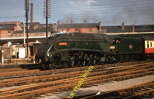 Colour rail 35mm - rail, bre1448