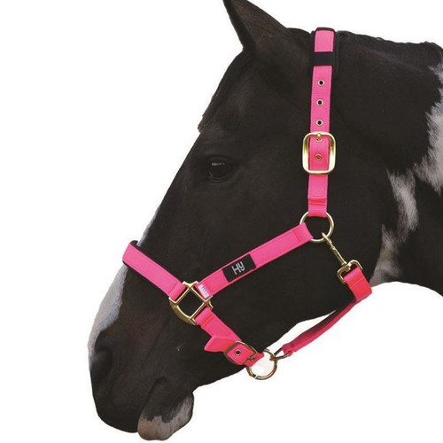 Deluxe padded head collar - hy,