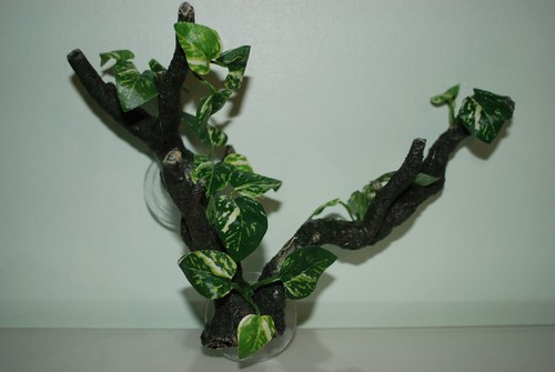 Vivarium large reptile twin - large,