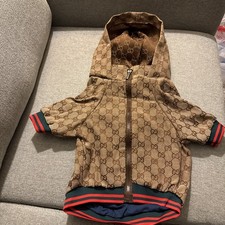 Gucci inspired Dog Hoodie