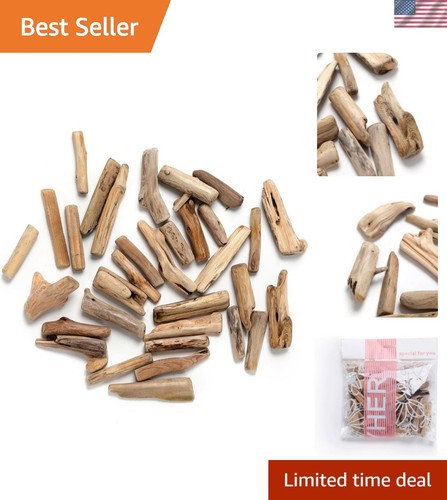 Natural driftwood pieces - driftwood,