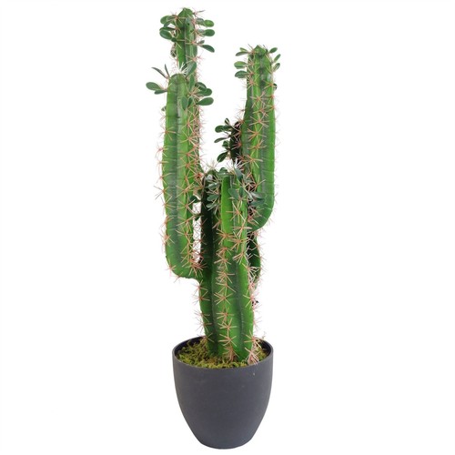 Artificial cactus plant - artificial,