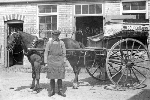Oss meat horse - oss-58,