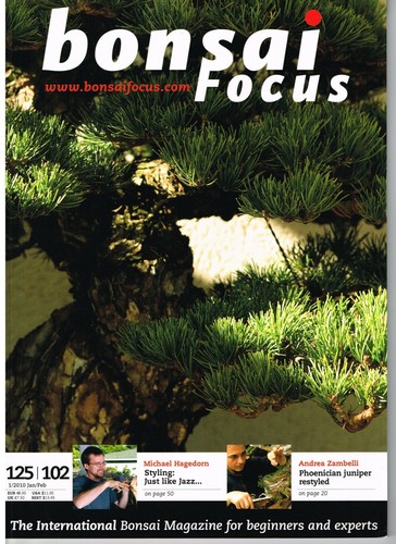 Bonsai focus 102 jan feb - bonsai, no.102