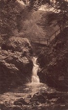 FAMILY HISTORY - POSTCARD -