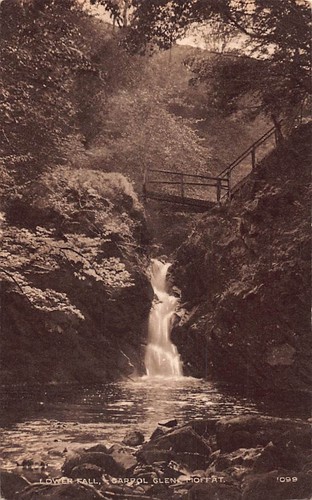 Family history postcard - -,