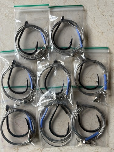 Shark tope conger tuna - 8, x