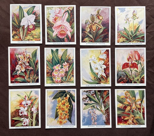 Carreras cigarette cards - cigarette, full
