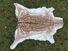 Nice New Real Summer Fallow